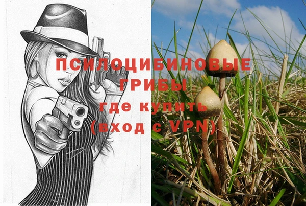 МДПВ Аркадак